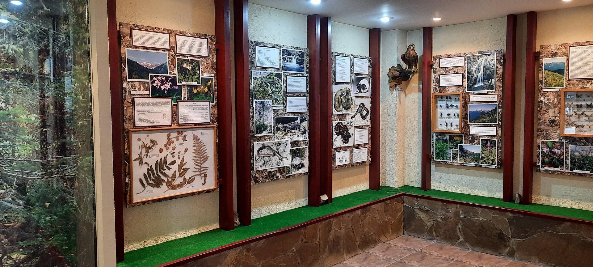 Музей Природы Сочинского национального парка. Фото: npsochi.ru Музей Природы Сочинского национального парка. Фото: npsochi.ru