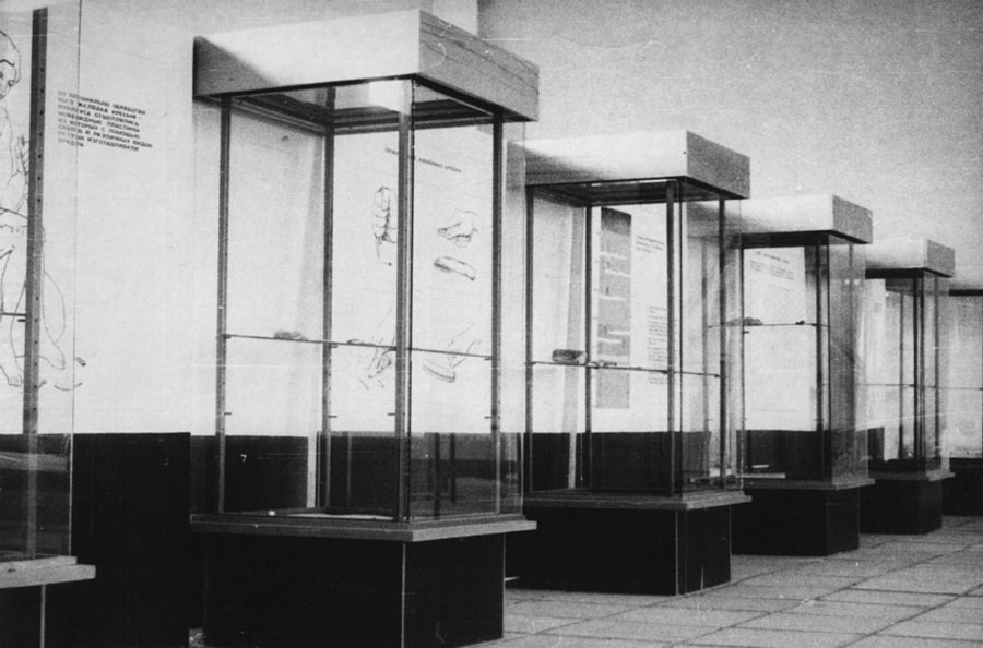 Первая экспозиция музея-заповедника «Костенки» Первая экспозиция музея-заповедника «Костенки»