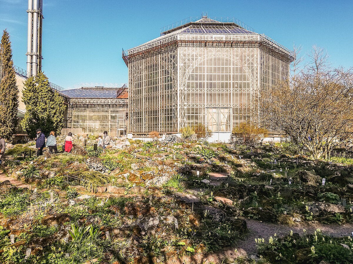 Фото: Wikimedia Commons.