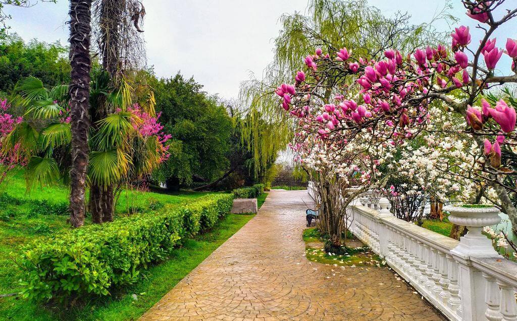 Парк «Южные культуры». Фото: broni.travel Парк «Южные культуры». Фото: broni.travel