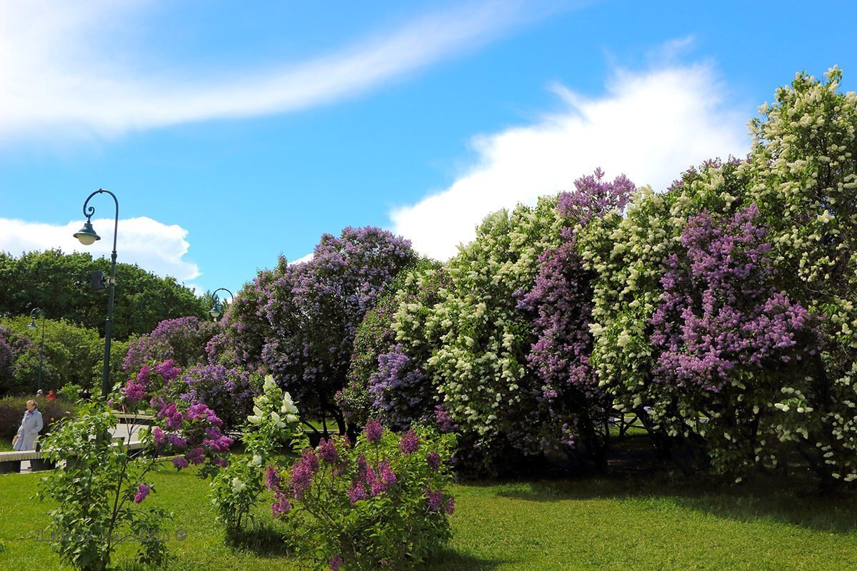 Фото:parks.moscow