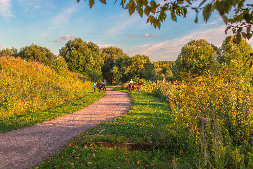 Фото: troparevo-park.ru