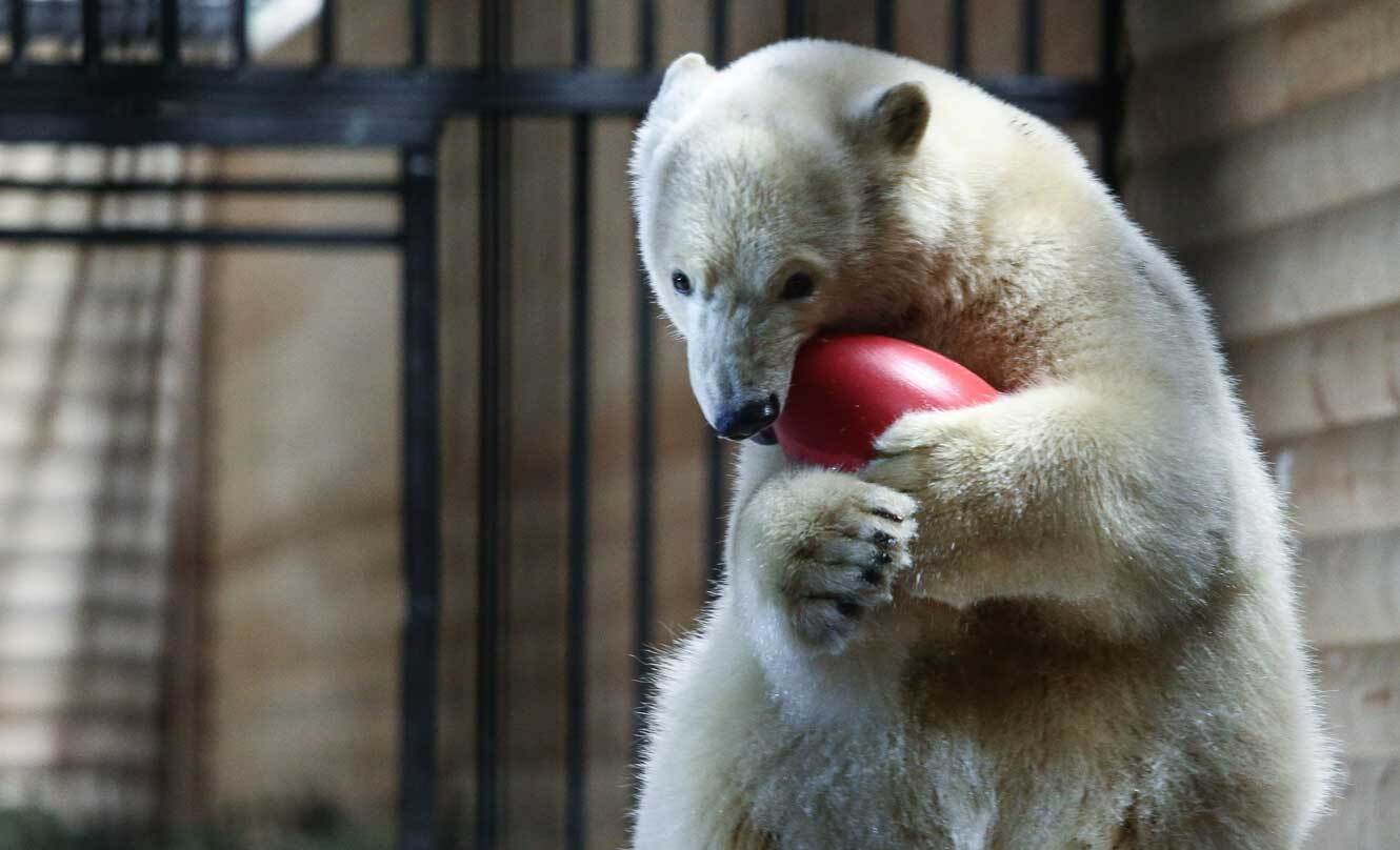 Фото: globallookpress.com