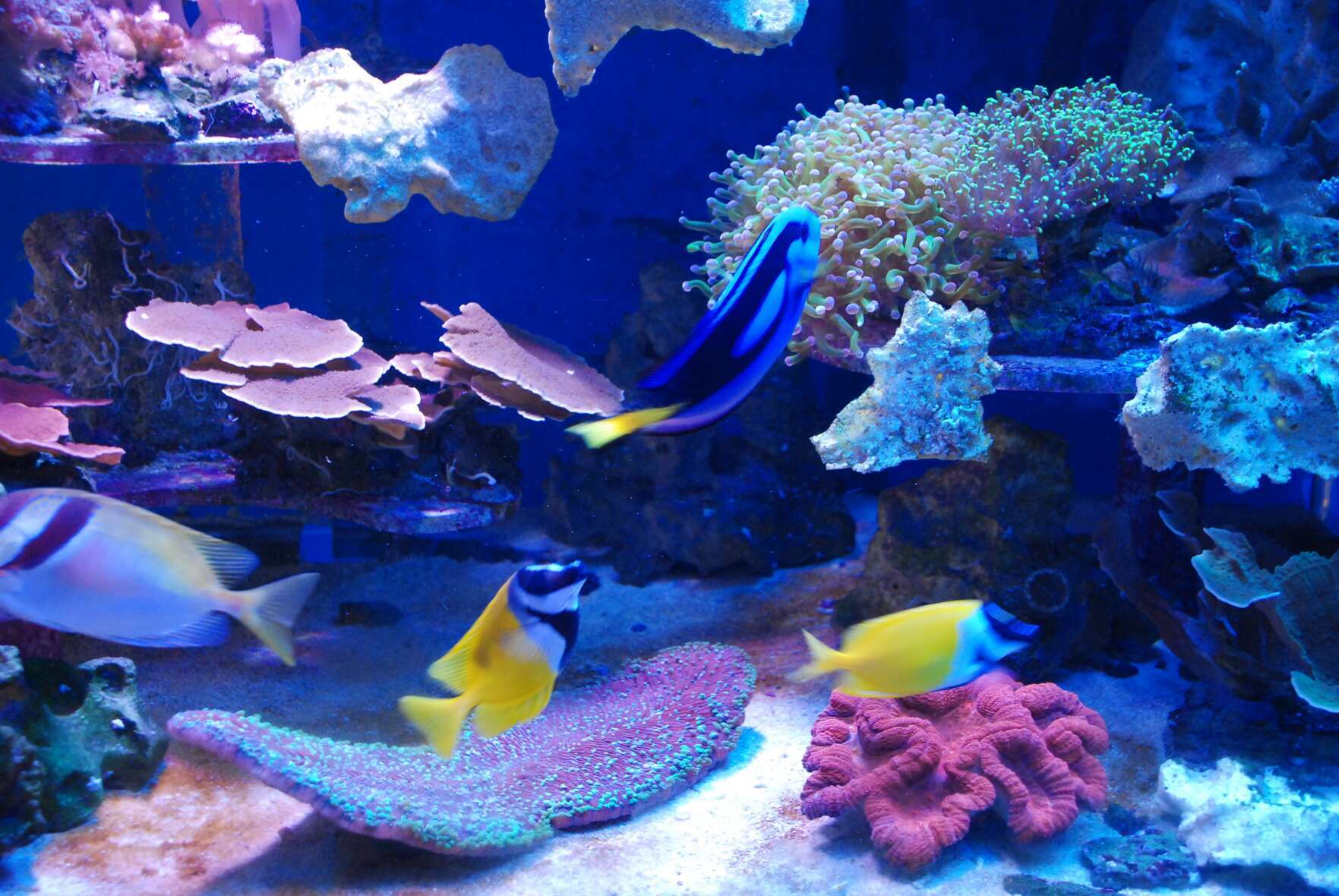 Фото: globallookpress.com