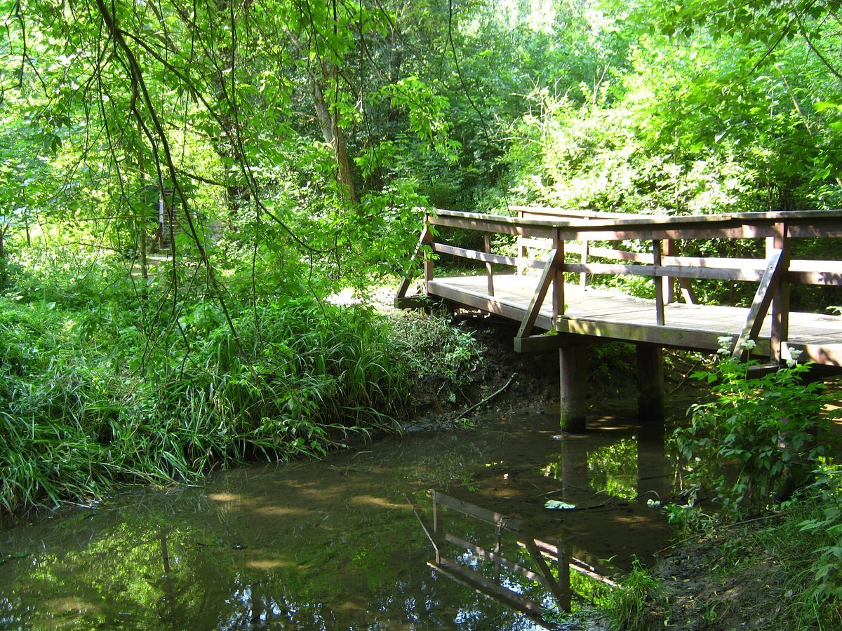 Фото: troparevo-park.ru