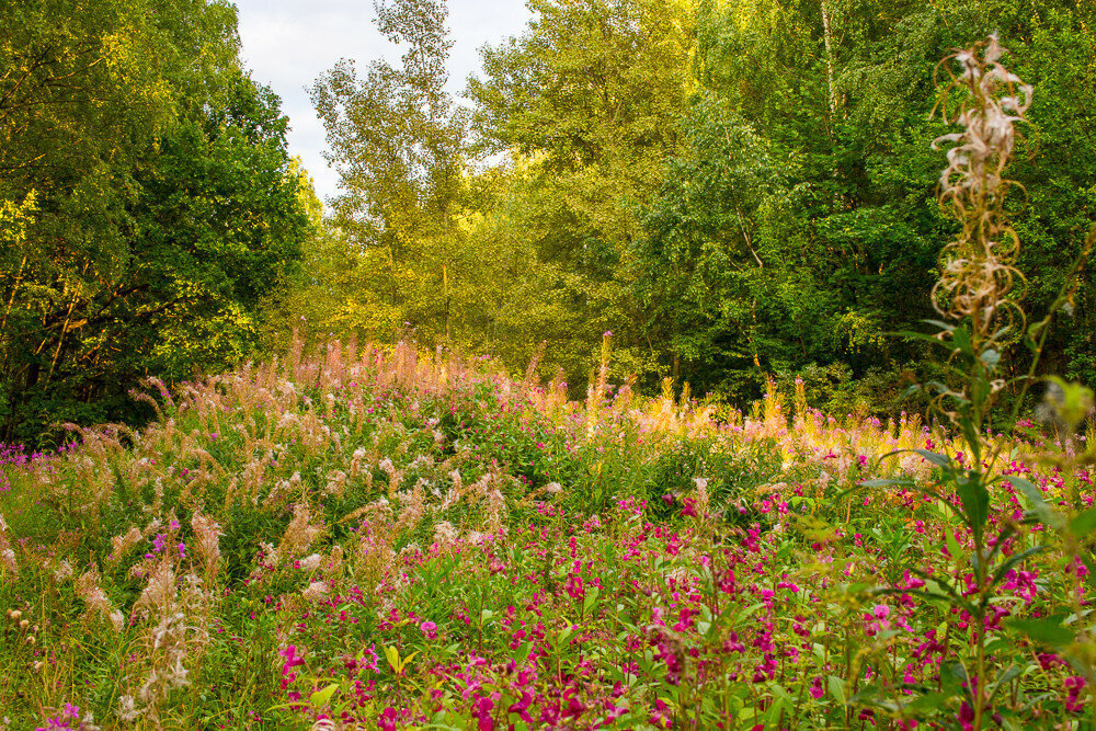 Фото: troparevo-park.ru