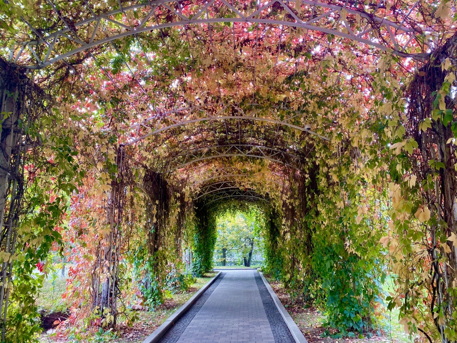 Фото: vao-moscow.ru