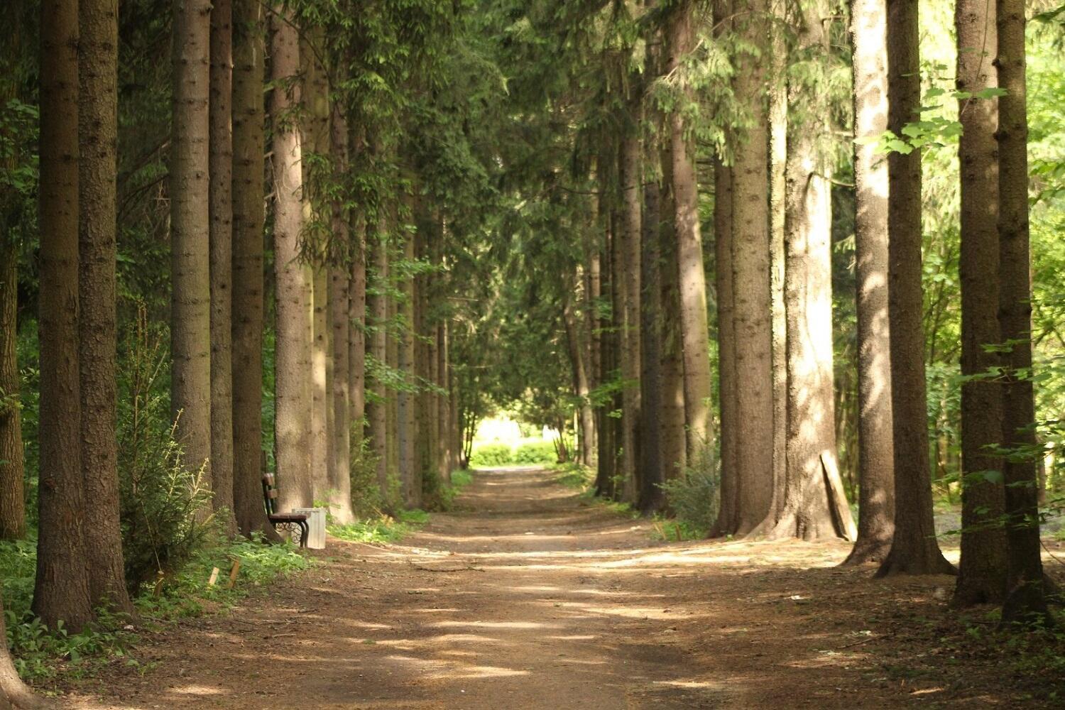 Фото: tsaritsyno-museum.ru