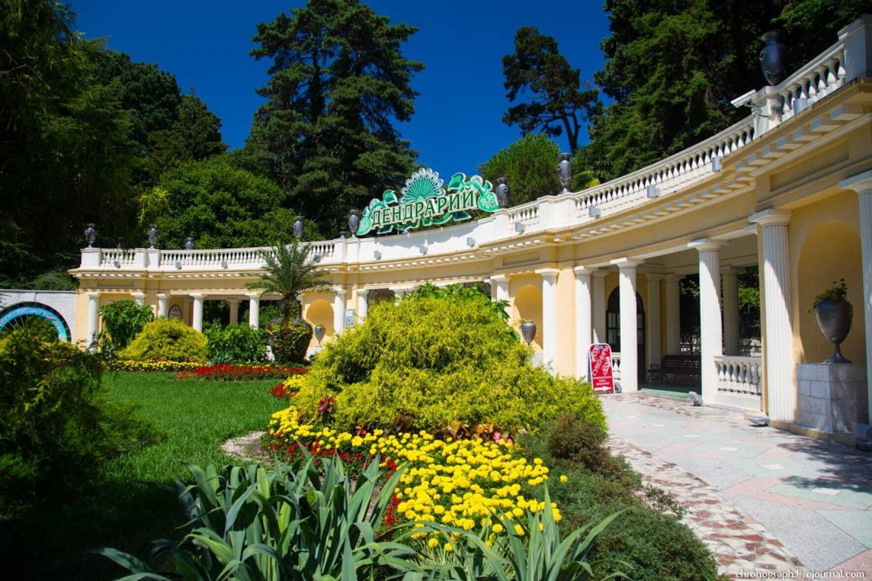 Сочинский Дендрарий. Фото: sunsochi.com Сочинский Дендрарий. Фото: sunsochi.com