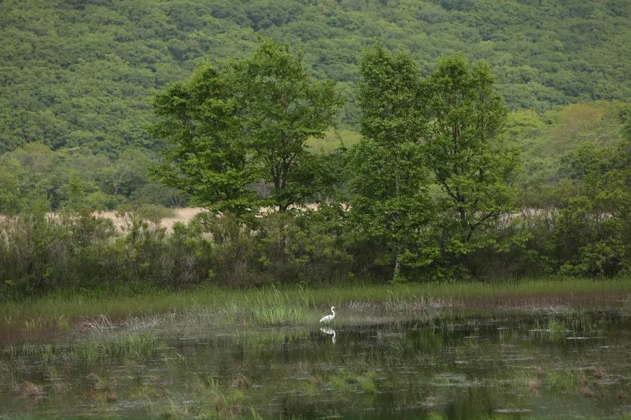 Фотовыставка Натальи Терентьевой Голубая сорока и не только