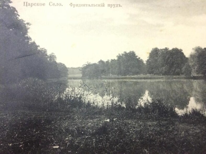 Tsarskoye Selo。 弗里登塔尔池塘。 明信片